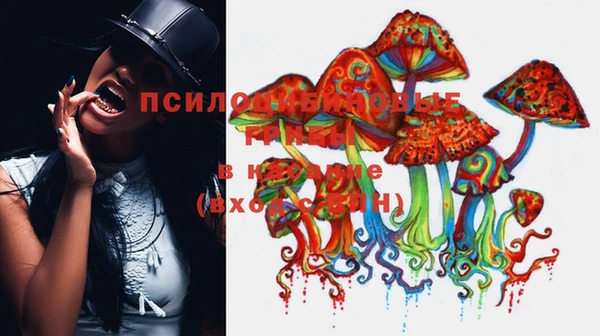 винт Богородицк