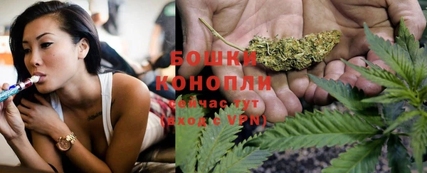 сатива Белокуриха