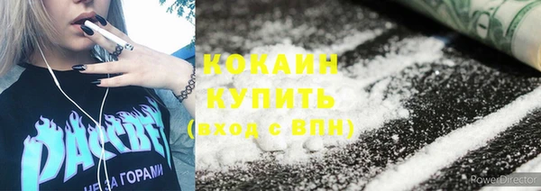 сатива Белокуриха